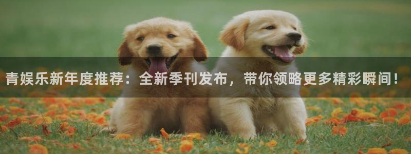 华润娱乐官方网站入口
