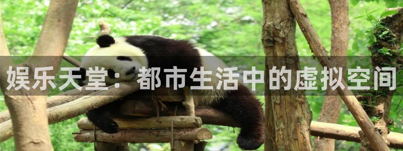 华润娱乐官方网站入口：娱乐天堂：都市生活中的虚拟空间