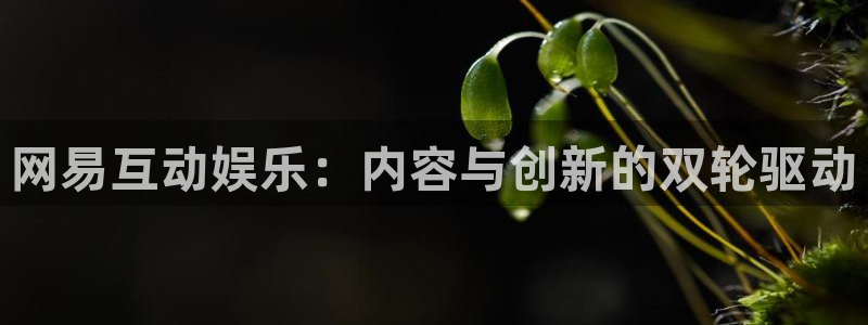 首页华润娱乐：网易互动娱乐：内容与创新的双轮驱动