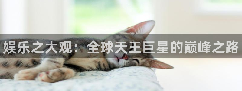 首页华润娱乐：娱乐之大观：全球天王巨星的巅峰之路