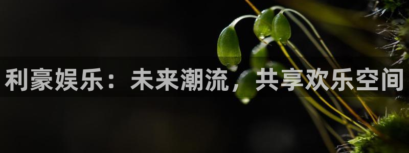 华润娱乐官方网站入口：利豪娱乐：未来潮流，共享欢乐空间