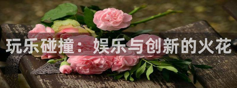 华润娱乐官方网站入口：玩乐碰撞：娱乐与创新的火花