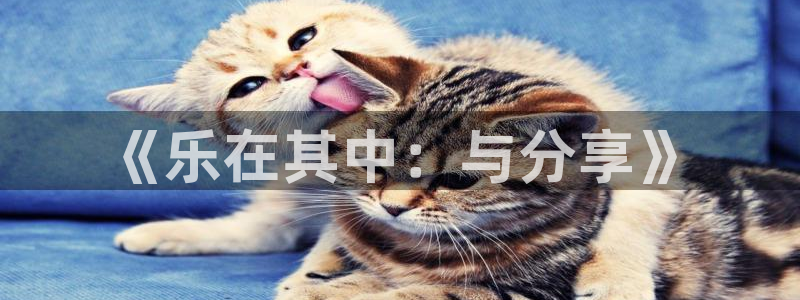 首页华润娱乐：《乐在其中：与分享》