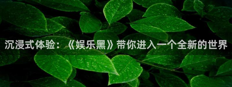 华润娱乐官方网站入口：沉浸式体验：《娱乐黑》带你进入一个全新的世界